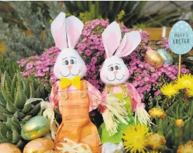  ?? Ruth Bancroft Garden ?? The outdoors Easter celebratio­n in Walnut Creek’s Ruth Bancroft Garden is scheduled to include a scavenger hunt.