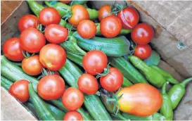  ?? Houston Chronicle file ?? Vegetables such as okra and tomato thrive in organic gardens.