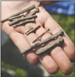  ??  ?? Archaeolog­ist Connie Arzigian of the University of Wisconsin-La Crosse shows off some of the nails uncovered less than 10 inches below the surface.