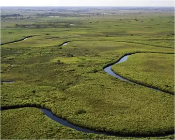  ??  ?? Okavango Delta