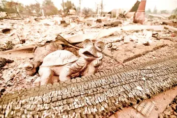  ??  ?? A turtle statue is seen amidst the charred remains of a home after the Carr fire passed through the area of Lake Keswick Estates near Redding, California. — AFP photo