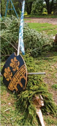  ?? Foto: Wolfgang Widemann ?? Einen abgerissen­en Maibaum – das gab es 2009 in Ebermergen nach einer Windböe. Immer wieder passieren in der Region solche Vorfälle.