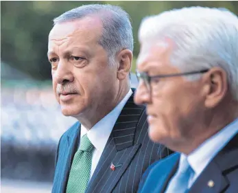  ?? FOTO: DPA ?? So kühl wie den türkischen Präsidente­n Erdogan hat Frank-Walter Steinmeier wohl noch nie einen Staatsgast empfangen.