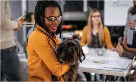  ?? Photograph: mixetto/Getty Images ?? More people say they’ll miss their pets when they go back to the office than say the same about their spouses and kids.