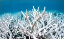  ?? Photograph: Brett Monroe Garner/Getty Images ?? The World Heritage Committee agreed not to place Great Barrier Reef on its ‘in danger’ list after lobbying from the Australian government.