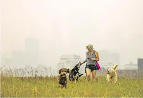  ?? GAVIN YOUNG ?? Dog walker Angela White walks her charges on Tom Campbell’s Hill while wildfire smoke almost completely obscures the downtown Calgary skyline on Wednesday.