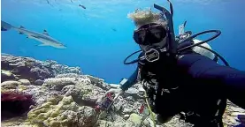  ??  ?? Shark diving in Yap, in the Federated States of Micronesia.