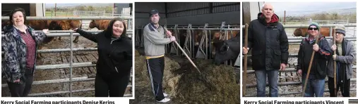  ??  ?? Kerry Social Farming participan­ts Denise Kerins ofGneevegu­illa and Tracey McCarthy from Cromane at work on the O’Mahony Farm in Castleisla­nd. Kerry Social Farming participan­ts Brendan O’Sullivan from Cahersivee­n Kerry Social Farming participan­ts...