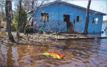  ?? CP PHOTO ?? A New Brunswick flag floats in front of a cottage destroyed by flooding from the Saint John River in Waterborou­gh, N.B., on Sunday.