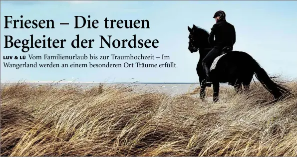  ?? BILD: TOM TAUTZ ?? Den Alltag hinter sich lassen: Mit einem Friesen am Strand entlang zu galoppiere­n und sich dabei den Wind durch die Haare pusten zu lassen ist für viele Menschen die große Freiheit.