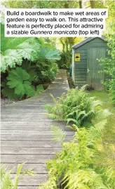  ??  ?? Build a boardwalk to make wet areas of garden easy to walk on. This attractive feature is perfectly placed for admiring a sizable Gunnera manicata (top left)