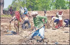  ?? ANI ?? Migrant labourers work under MGNREGS in MP on May 19.