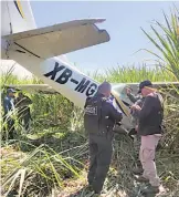  ?? Ofelia Espinoza/el Sol de Cuernavaca ?? La avioneta se desplomó sobre cañas