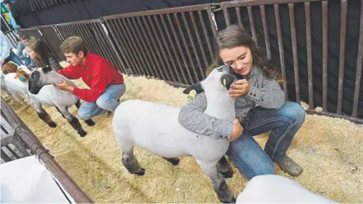  ??  ?? Shayne Snyder hugs her lamb at the Colorado State Fair in 2017.