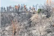  ?? The charred landscape near Mantoudi ?? Bathers at Edipsos, known for its mineral-rich therapeuti­c waters