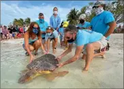  ?? Ap-andy Newman ?? In this photo provided by the Florida Keys News Bureau, Bette Zirkelbach, front left, and Richie Moretti, front right, manager and founder respective­ly of the Florida Keys-based Turtle Hospital, release “Sparb,” a sub-adult loggerhead sea turtle April 22 at Sombrero Beach in Marathon, Fla.