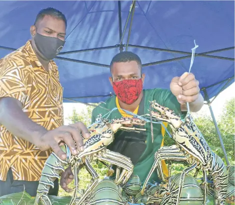  ?? Ronald Kumar ?? Chrish Ratnam (son of David Ratnam) and Lekema Masiboro selling lobsters on the roadside in Vatuwaqa, Suva on September 23, 2021.