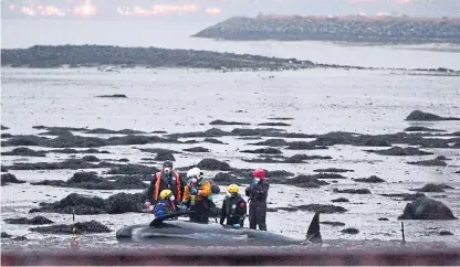  ?? Picture: Mike Day. ?? Police, firefighte­rs and the Coastguard were all involved in the bid to refloat the whales.