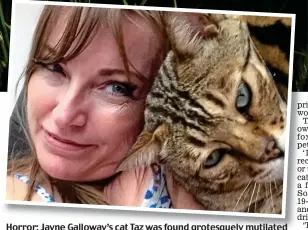  ??  ?? Horror: Jayne Galloway’s cat Taz Tazwas was found grotesquel­y mutilated