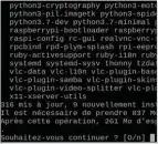  ??  ?? Vous devez passer par le Terminal pour mettre à jour le système Raspbian.