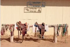  ??  ?? CLOCKWISE FROM LEFT: When dry, the land may look barren; But after a flood it is flushed with grasses; Locals know this is some of the best cattle-fattening land in Australia; The Middleton Hotel is the only stop on the five-hour drive between Boulia...