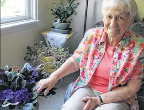  ?? CAROLE MORRIS-UNDERHILL ?? Laura Williams’ apartment has been a hot spot of activity this summer as residents drop by to see her giant African violet, which she grew from a small plant about three and a half years ago.