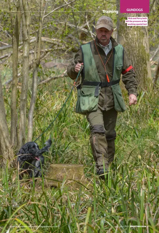  ??  ?? Nick and Percy both felt the pressure at the working spaniel test