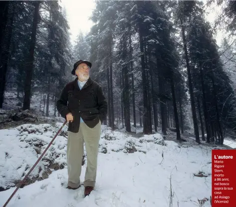  ??  ?? L’autore Mario Rigoni Stern, morto a 86 anni, nel bosco sopra la sua casa ad Asiago (Vicenza)