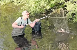  ?? BILD: André van Elten/261News ?? Mit einem Käscher holten die Fischer die toten Tiere aus dem Wasser.