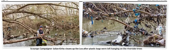  ??  ?? Scourge: Campaigner Julian Kirby cleans up the Lea after plastic bags were left hanging on the riverside trees