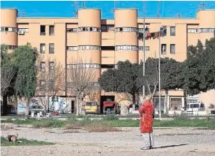  ?? // EFE ?? Viviendas del barrio de los Palmerales en Elche, donde murió la mujer