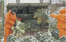  ??  ?? 0 Scots fruit and vegetable farmers need seasonal staff