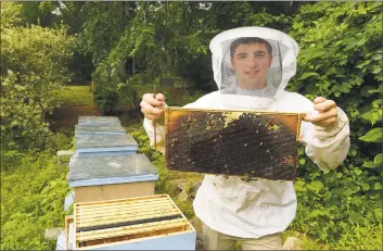  ?? Matthew Brown / Hearst Connecticu­t Media ?? AITE graduate Dylan Martin, an avid beekeeper, checks one of his honey-producing hives on Friday at his home in Stamford.