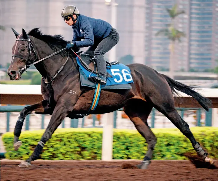 Berry secures Savvy Derby ride PressReader