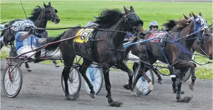  ?? JASON SIMMONDS/JOURNAL PIONEER ?? The Norris Rogers-driven Woodmere Ideal Art, 6, prevailed in an exciting stretch drive in the finale of Sunday afternoon’s 12dash harness racing program at Red Shores at Summerside Raceway. Time of the mile was 1:55.4.