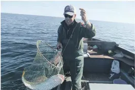  ??  ?? FIN TORSK: Harald Maløya sikrer en fin torskefang­st med håv.