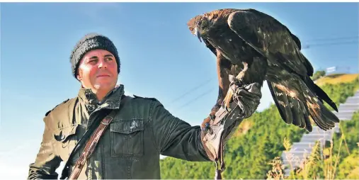  ?? FOTOS: STEPHAN BRÜNJES ?? Falkner Norman Vögeli ist seit fünf Jahren mit seiner Steinadler­in Asul „verheirate­t“.