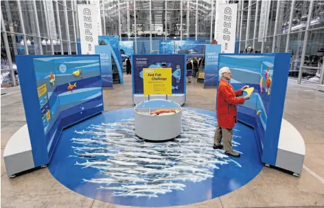  ?? Photos by Michael Macor / The Chronicle ?? Volunteer docent Ted Olsson tends to the “Fast Fish Challenge” exhibition at the California Academy of Sciences in San Francisco.