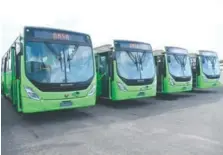  ?? JOHN ESCALANTE ?? Nuevos autobuses de la OMSA que fueron entregados ayer