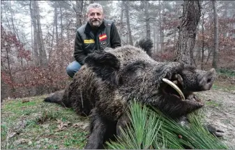  ??  ?? Grand solitaire turc contremiré récolté au cours du premier trimestre 2017 sur le territoire de Nature Tours.