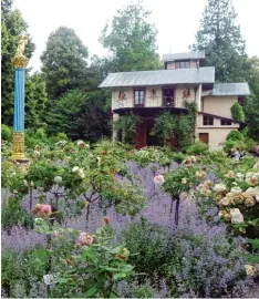  ?? Foto: Lilo Solcher ?? 600 Rosenstöck­e blühen vor dem königliche­n Gartenhaus, das Casino genannt wird. Manche Züchtungen sind 500 Jahre alt.
