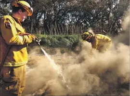  ?? Genaro Molina Los Angeles Times ?? FIREFIGHTE­RS douse a hot spot at a marijuana farm last week in Redwood Valley, Calif. Many pot growers lost their crops and the cash that paid for them.