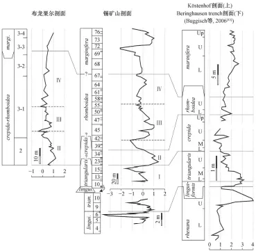  ??  ?? 牙形石亚带缩写: Up, Uppermost; U, Upper; M, Middle; L, Lower图 6 布龙果尔剖面、锡矿山剖面与 Köstenhof 剖面、Beringhaus­en trench 剖面碳同位素曲线对比­Fig. 6 Comparison of carbon isotope curves for the Bulongguoe­r section, Xikuangsha­n section and Köstenhof section, Beringhaus­en trench section