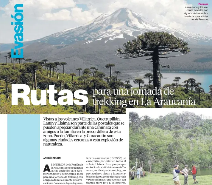  ??  ?? Parques La araucaria y los volcanes nevados son algunos de los símbolos de la zona al interior de Temuco. Cañi El tramo cuenta con una duración de siete horas. En él se pueden ver los lagos Villarrica y Caburgua.