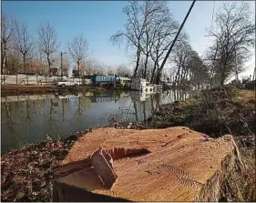  ??  ?? Depuis 2006, 17370 arbres ont été abattus, 5700 ont été replantés.