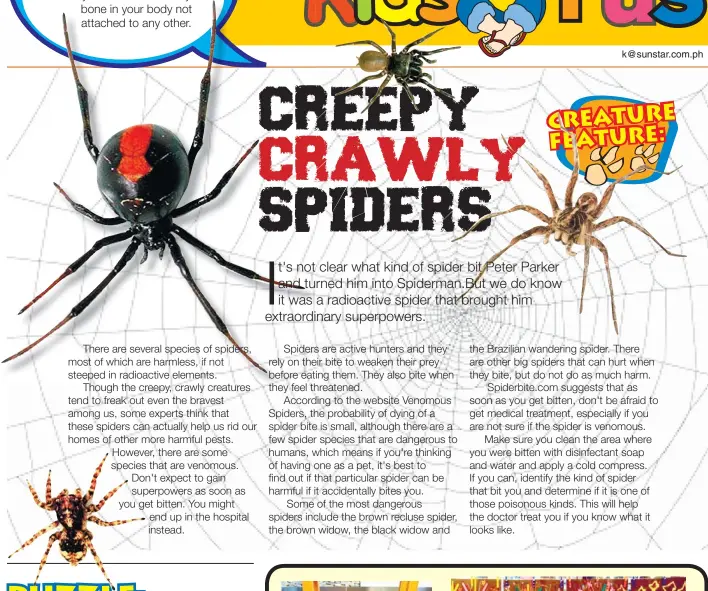 CREEPY CRAWLY SPIDERS - PressReader