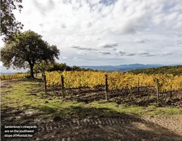  ?? ?? Sanlorenzo’s vineyards are on the southwest slope of Montalcino