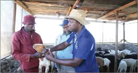  ?? Photo: Contribute­d ?? Agribank’s Erastus Ngaruka (right) shares informatio­n with a farmer.