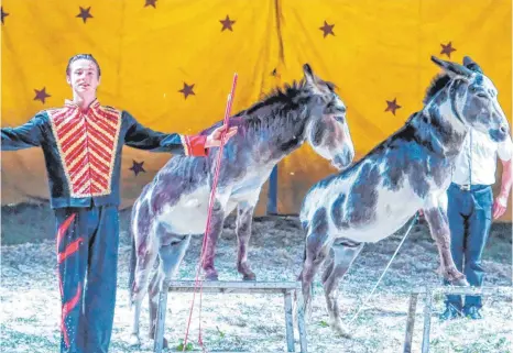  ?? FOTO: ANDY HEINRICH ?? Mit seiner tierischen Nummer zeigt Markus Kaiser vom „Circus Barnum“, dass Esel nicht immer störrisch sein müssen.