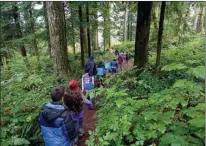  ?? Associated Press ?? ■ Outdoor School students walk through the dense forest on their way to a lesson at Camp Howard in Mount Hood National Forest near Corbett, Ore. The outdoor education is unique to Oregon and is a riteof-passage for public school students that’s meant...